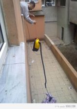 Haga click para ver la imagen ampliada recoger objetos patio.jpg